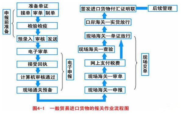 木皮进口报关流程图