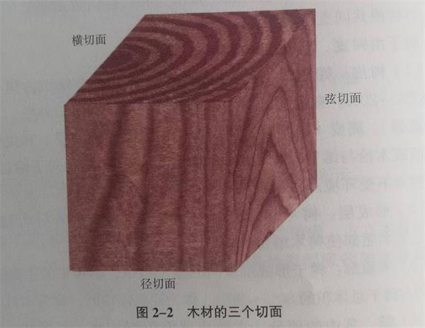 天然木皮原木的宏观构造 天然木皮原木的宏观构造