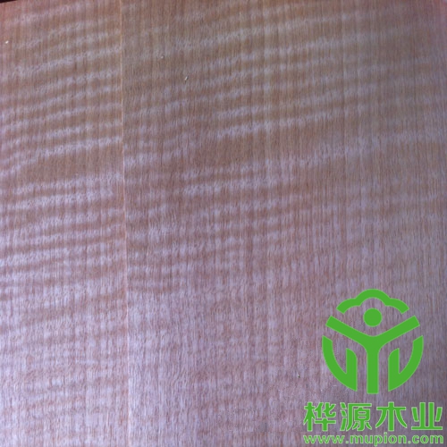 红影木皮0.5mm品质无忧，安利格影木皮优质供应