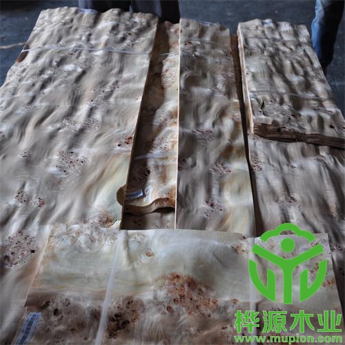 白杨树榴木皮风格多样,0.5mm树榴木皮价格优惠