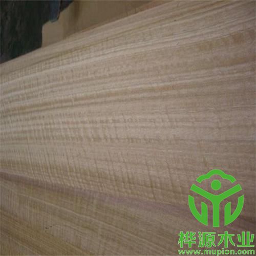 尤加利影木皮0.5mm品质保证，排骨影尤加利装修效果好