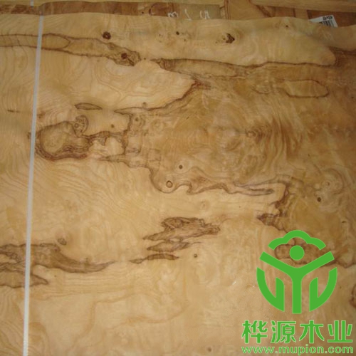 橄榄树榴木皮0.5mm质量保证，橄榄树榴木皮价格实惠