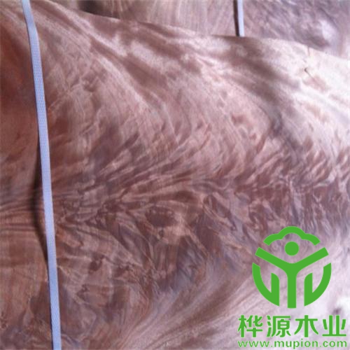 奥古曼树杈木皮价格优惠，0.5mm树杈木皮品质好