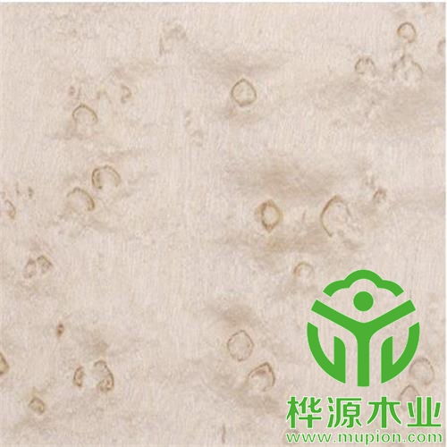 雀眼染色木皮0.5mm价格实惠 ，染色木皮厂家直销